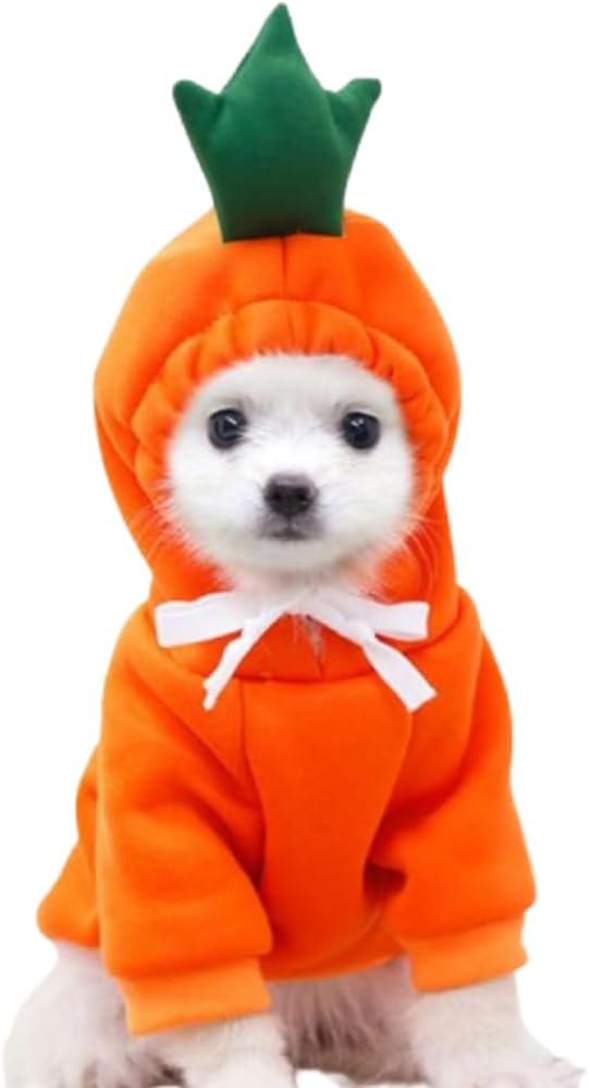 ANIAC Fleece Dog Hoodies with D-Ring Autumn Winter Puppy Clothes for Small Dogs Bumblebee Cat Apparel Cold Weather Coat 
