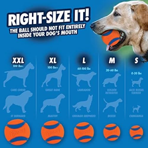 Chuckit! Ultra Rubber Dog Balls with Cleaning Bucket, Medium 2.5-in, 8-Pack