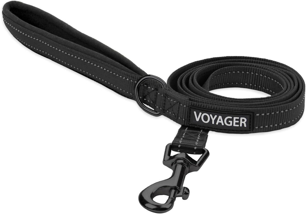 Best Pet Supplies Voyager Dog Collar Safety Clip with Dual Clasps, Collars and No Pull Harness Connectors, Training for 