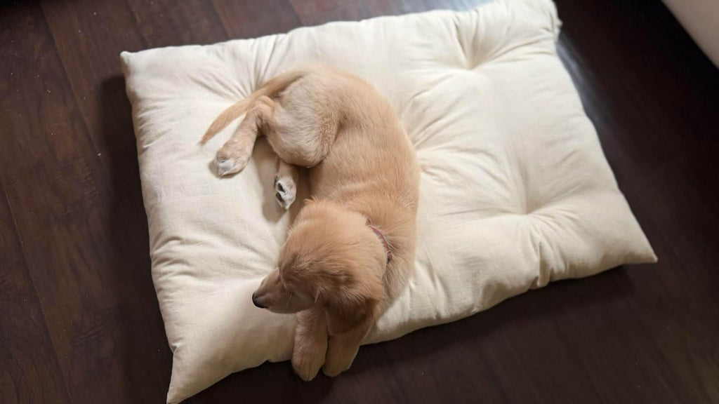 Rectangular Muslin Dog Bed Insert with Raw Cotton Filler, Natural Pet Bed Cushion Insert, Breathable Inner Pillow for Do