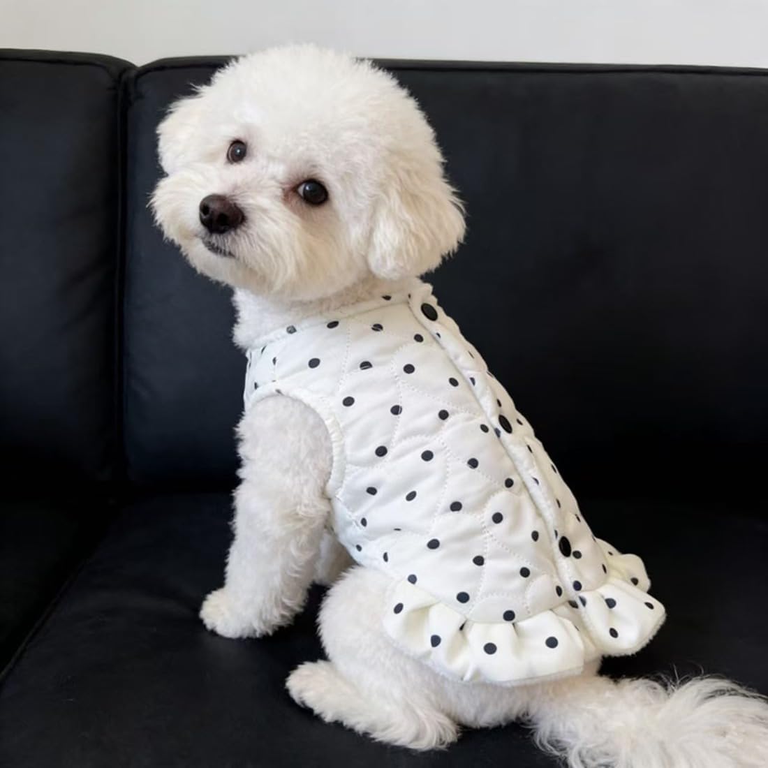 Dog Cute Fleece Cold Weather Vest Coat Dress (Skirt Jacket,S)