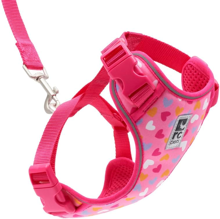 RC Pets Adventure Kitty Harness, 6ft Leash, Small, Multi Stripes
