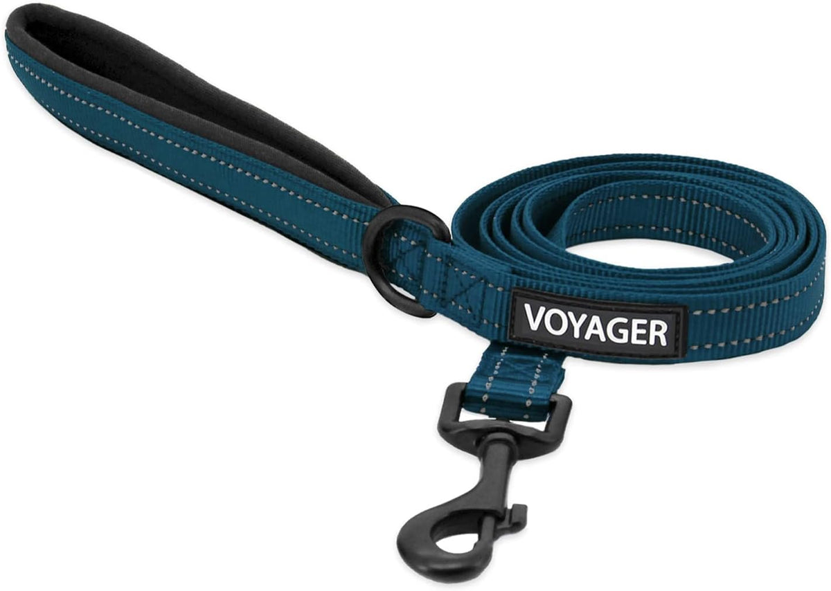 Best Pet Supplies Voyager Dog Collar Safety Clip with Dual Clasps, Collars and No Pull Harness Connectors, Training for 