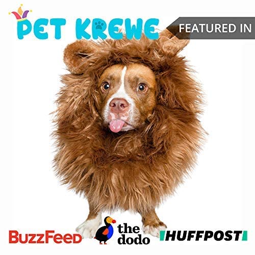 Lion Mane Costume and Big Dog Lion Mane Wig - Large Dog Costumes by Pet Krewe