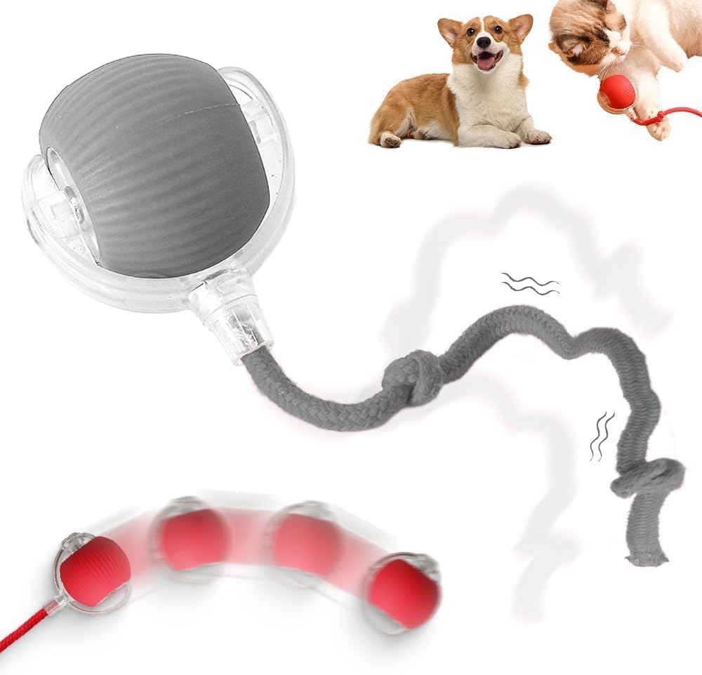 Interactive Cat Toys Balls, Interactive Rolling Dog Ball，Red