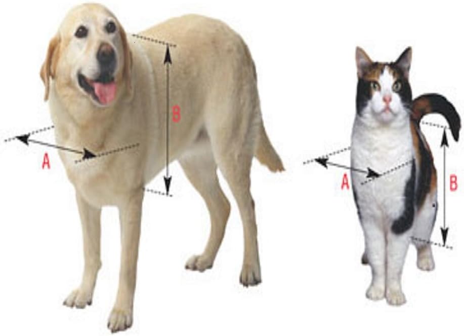 Ideal Pet Products Replacement Flap for Ruff Weather Pet Door