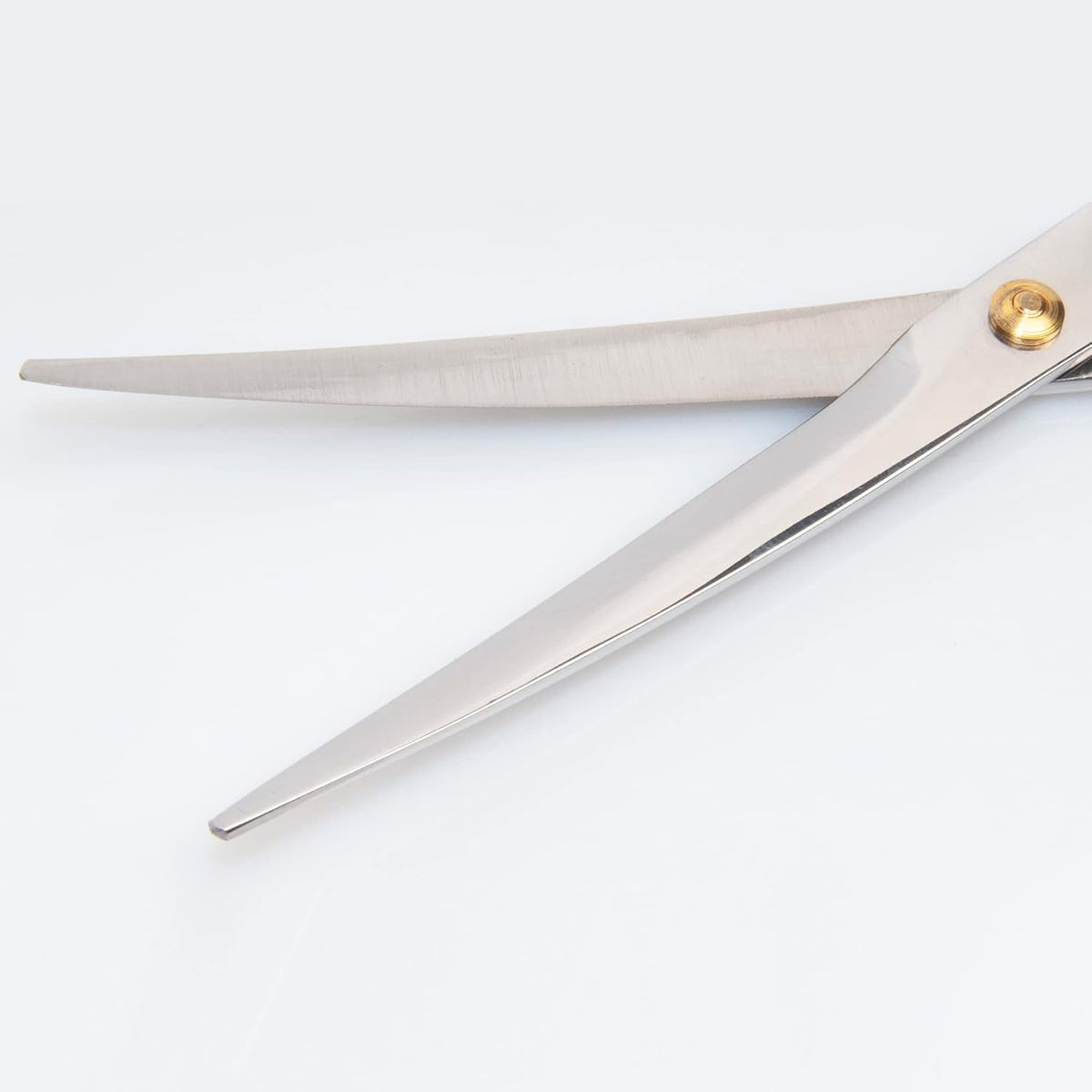 Diane Curved Point-Tip Pet Shear, 6.5-Inch Stainless Steel Hair Cutting Scissors for Precision Trimming, Facial Hair, Pa
