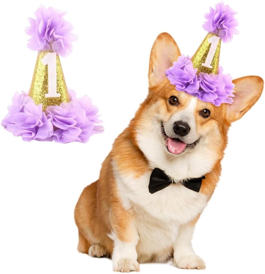 Stock Show 1st Pet Birthday Cone Hat Dogs Cats Holiday Party Hat Headwear Costume with Flowers Accessories and Adjustabl