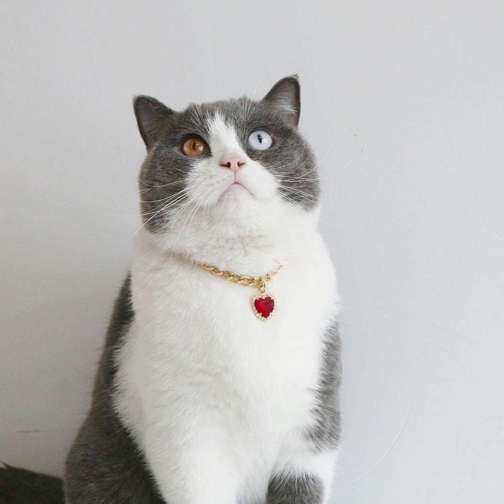 2X Dog Collars with Rhinestones, Teardrop-Shaped Pendants, for and Cats, 2 Pcs