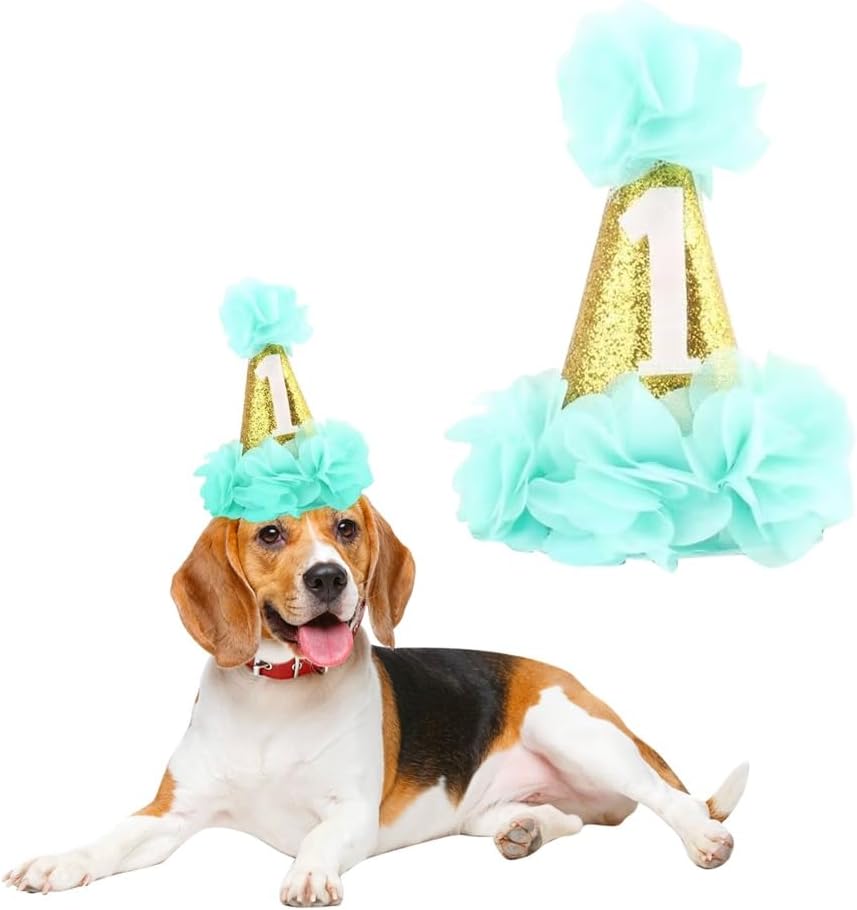 Stock Show 1st Pet Birthday Cone Hat Dogs Cats Holiday Party Hat Headwear Costume with Flowers Accessories and Adjustabl
