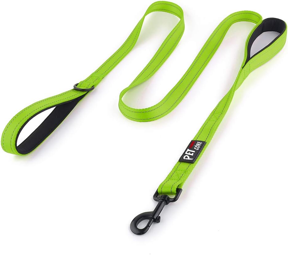 Plutus Pet Double Handle Dog Leash, 6 FT Long, for Medium Large Dogs