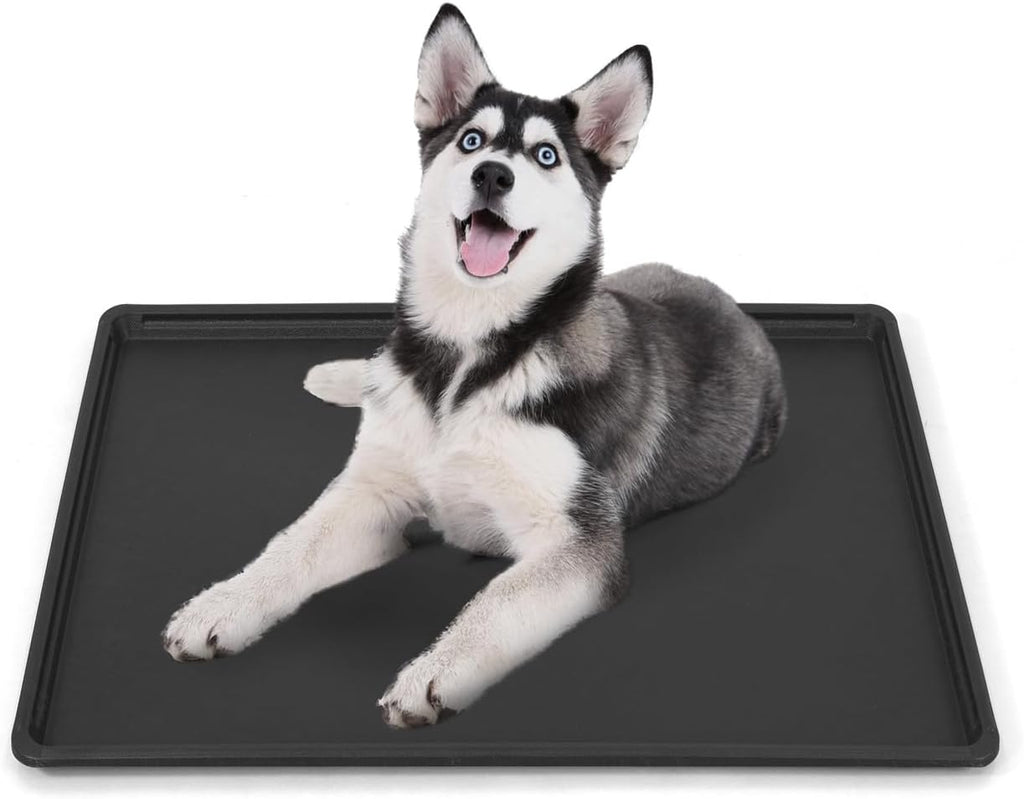 BOWHAUS 22.7-Inch Dog Crate Pan Replacement, Sturdy, Waterproof Plastic Tray for 24-Inch Pet, Rabbit Ferret Critter Kenn
