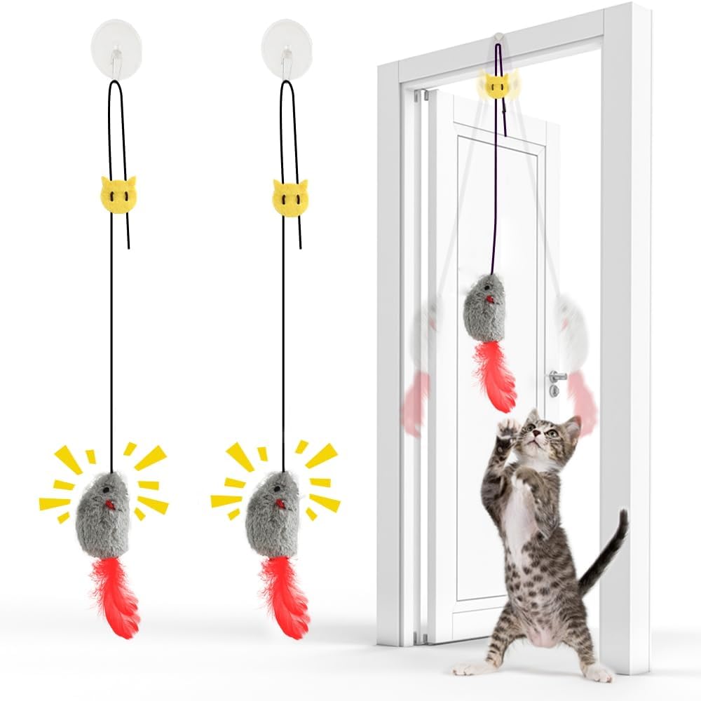 FYNIGO Self Play Cat Toys,2 Pack Door Hanging Cat Mouse Toy with Squeaky Sound,No Batteries Required,Interactive Cat Enr