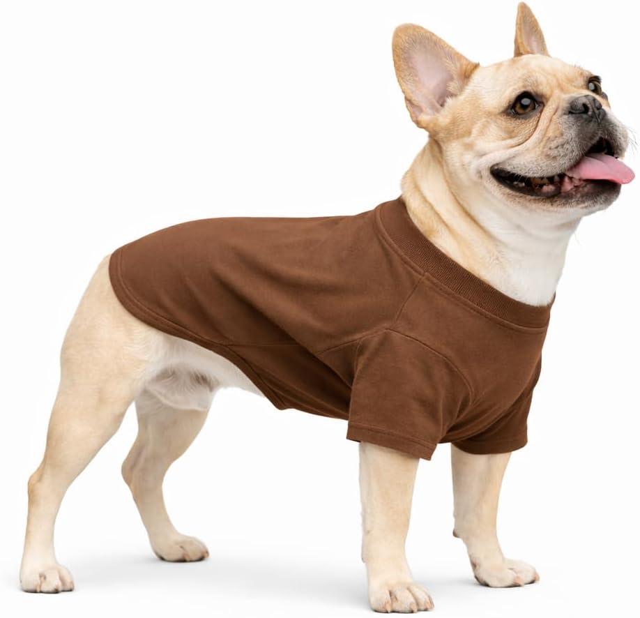 Lovelonglong Pet Clothing Dog Costumes Basic Blank T-Shirt Tee Shirts for Large Dogs Blue XXXXL