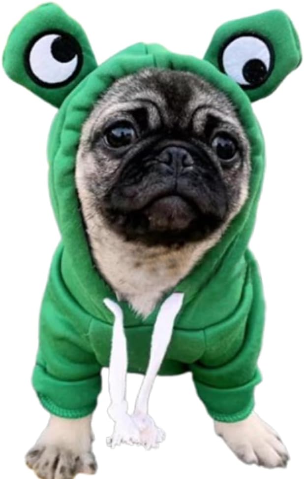 ANIAC Fleece Dog Hoodies with D-Ring Autumn Winter Puppy Clothes for Small Dogs Bumblebee Cat Apparel Cold Weather Coat 