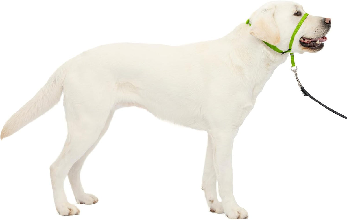 PetSafe Gentle Leader No Pull Dog Headcollar, Black, Large
