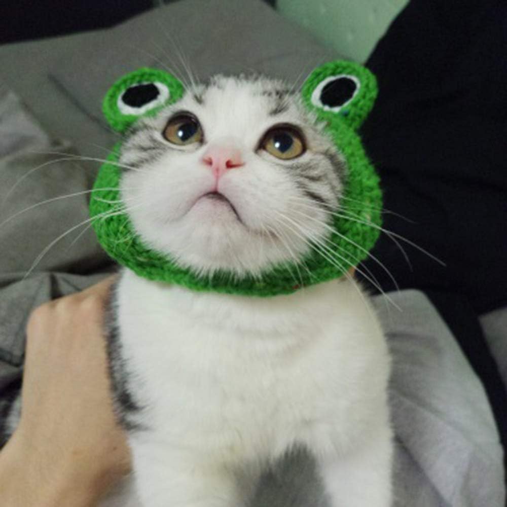 Adorable Funny Cartoon Frog Woven Pet Puppy Cat Hat Headwear