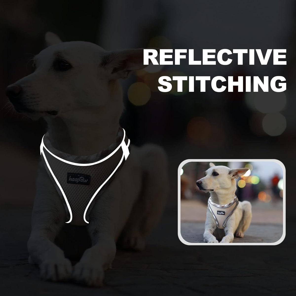 haapaw Dog Harness with Leash Set, No Pull Adjustable Reflective Step-in Puppy Harness with Thickened Padded Vest for Ex