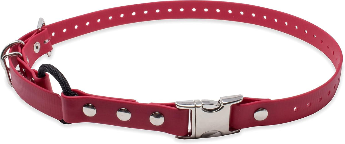 E-Collar Educator 3/4" Quick Snap Bungee Collar Strap, Black