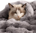 SOMAHE Soft Faux Fur Cat Blanket, Washable, Small 22x18 Dark Gray