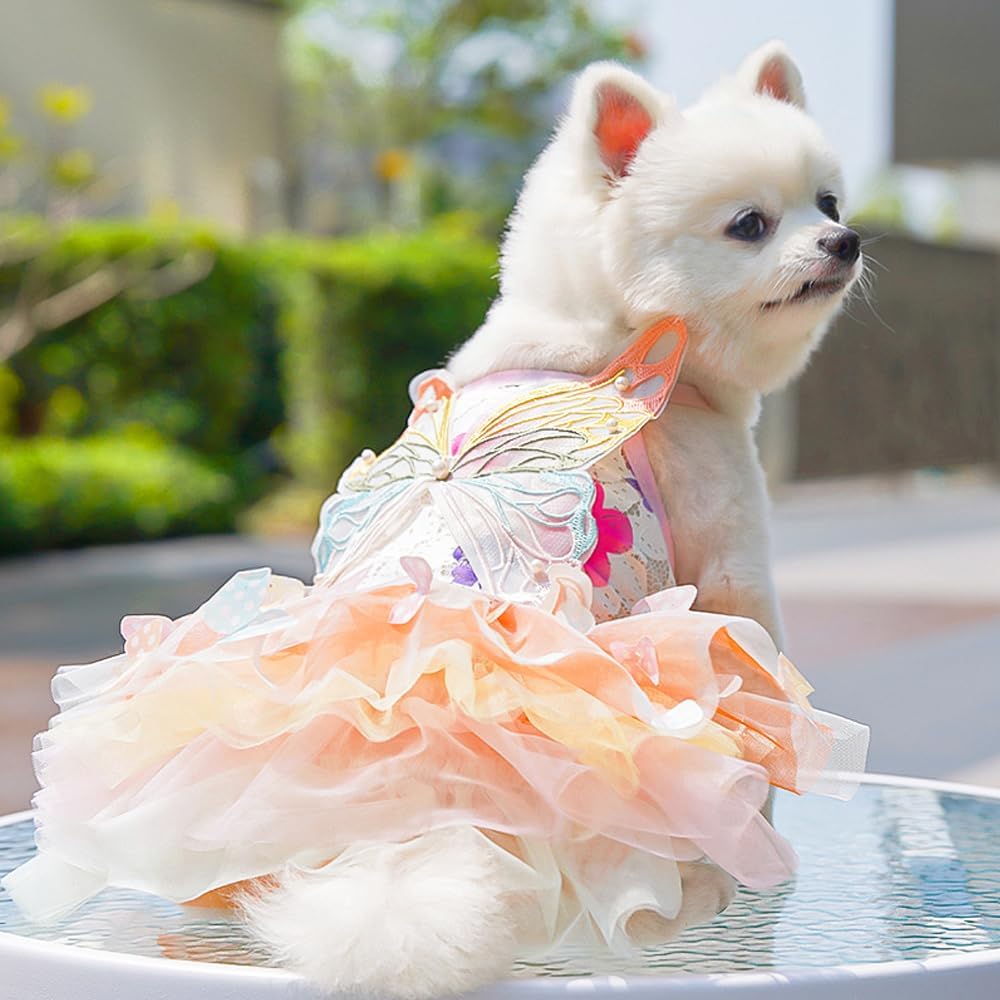 Dog Rainbow Butterfly Princess Dress Summer Thin, S