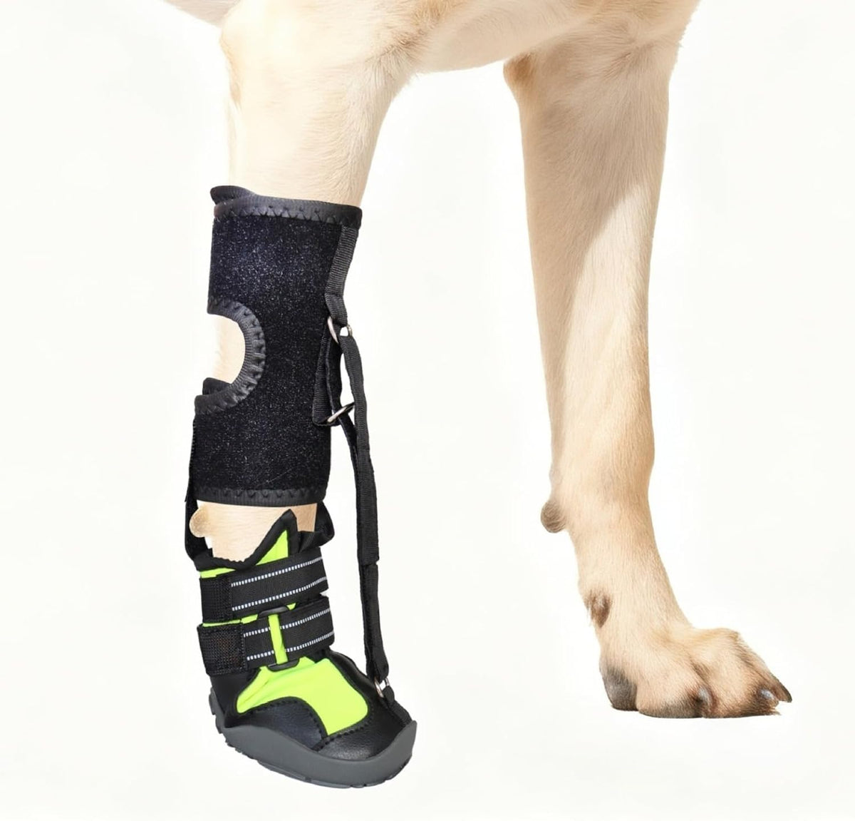 Paw Protectors for Dogs，Dog Brace for ACL Tear Back Leg，Corrective Dog Shoes Safely Lift Toes, Dog Brace for ACL Tear, A