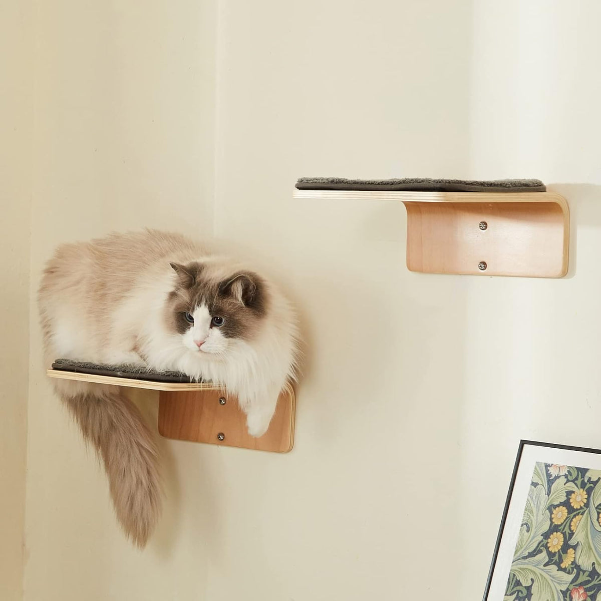 2 Set Cat Wall Steps - Wooden Cat Climbing Shelf for Wall - Cats Wall Stairs with Scratching Mat - Wall Mounted Cats Fur