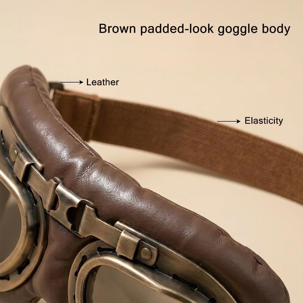 Vintage Dog Goggles with Adjustable Strap, Retro Pet Aviator Sunglasses