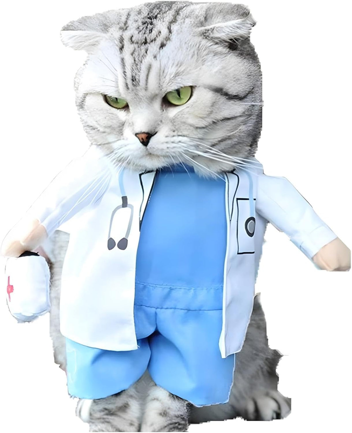 Cowboy Dog Costume with Hat - Blue Cat & Small Dog Halloween Costume (Small)