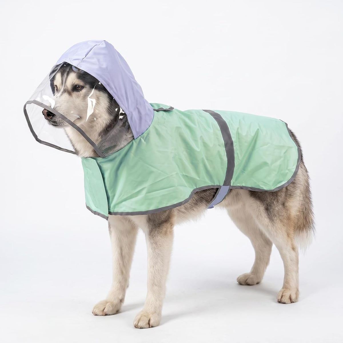 Clear Hood Dog Raincoat 2-in-1 Sun Protection for Medium Large Dogs，Medium