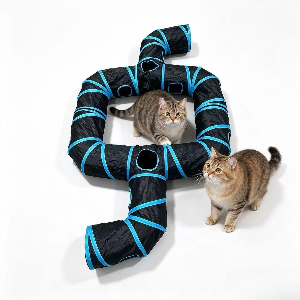 Blue & Black Ring Cat Tunnel, Foldable Toy for Indoor Cats & Small Pets
