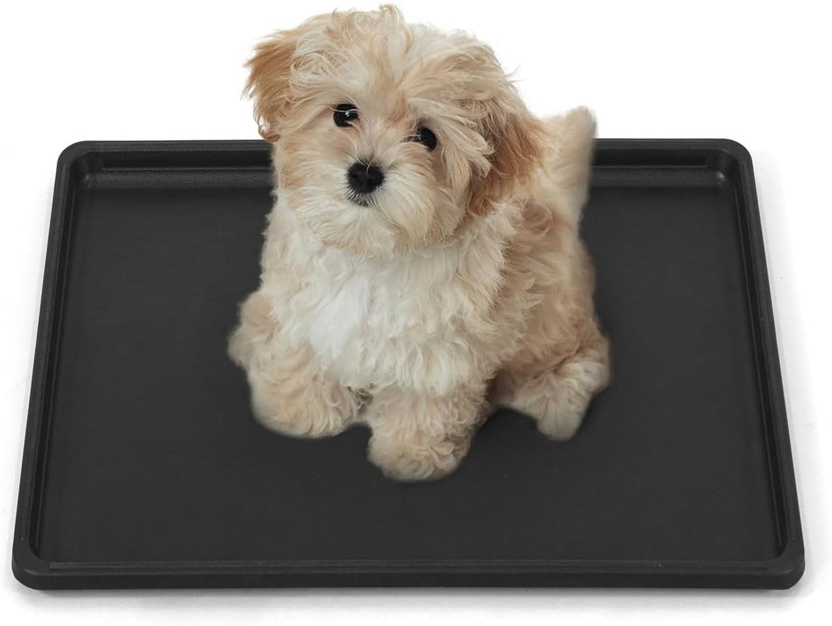 BOWHAUS 22.7-Inch Dog Crate Pan Replacement, Sturdy, Waterproof Plastic Tray for 24-Inch Pet, Rabbit Ferret Critter Kenn