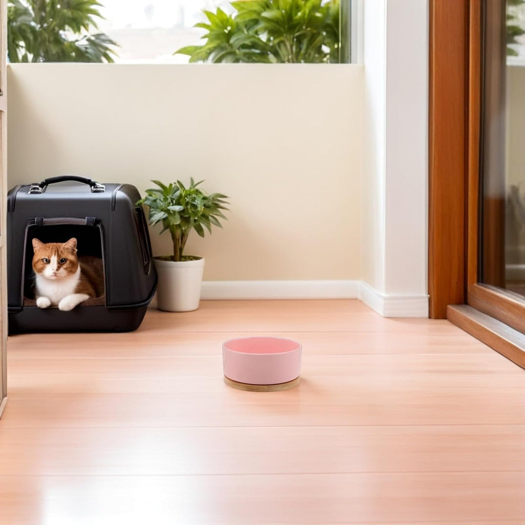 Heated Cat Water Bowl for Kittens, USB Powered 350ml Pink