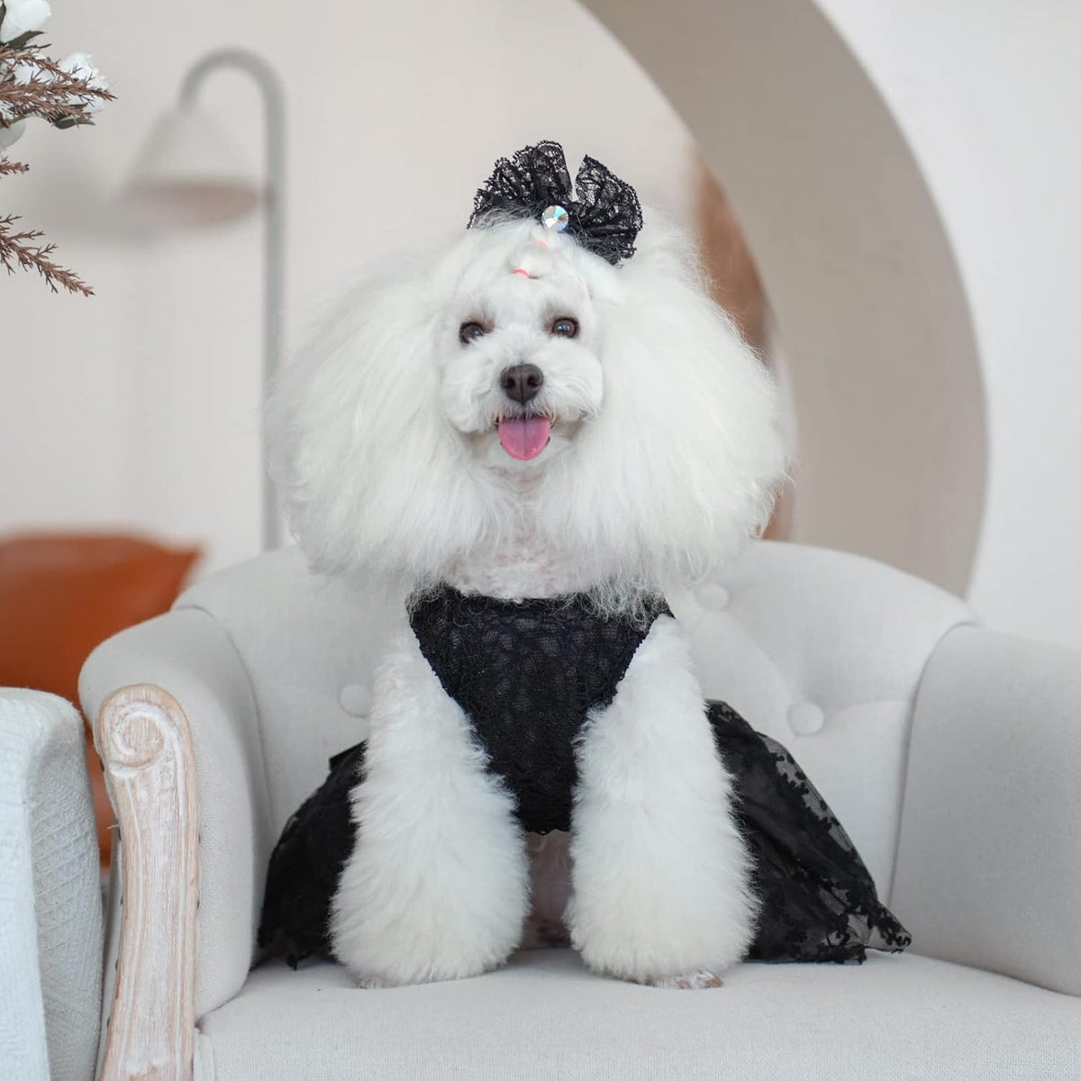 CuteBone Dog Birthday Dress Girl Puppy Skirt Tutu Cat Wedding Outfit Pet Party Clothes for Small Dogs Costume DD15M