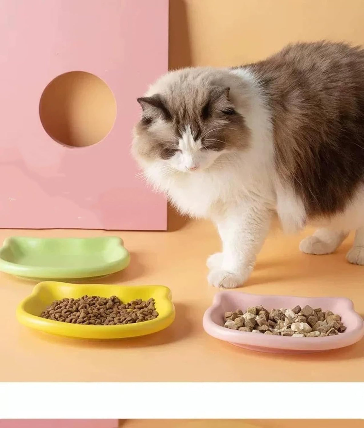 Cat Bowl