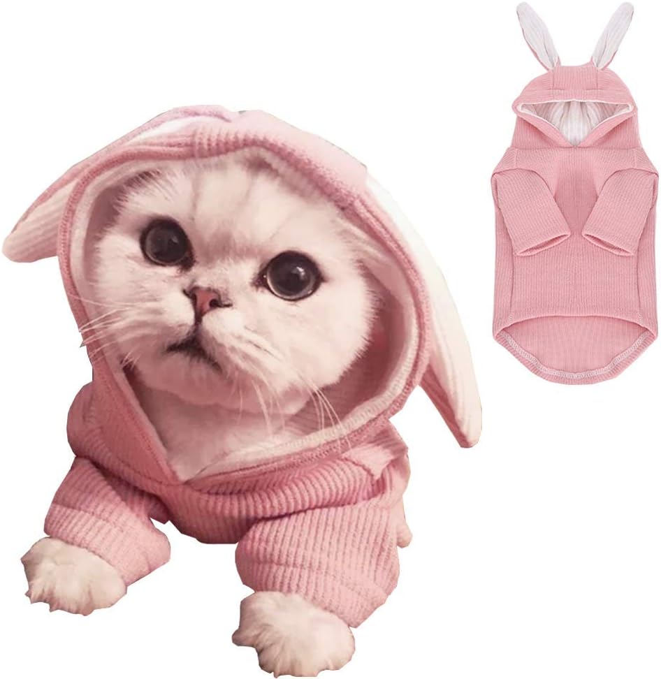 ANIAC Fleece Dog Hoodies with D-Ring Autumn Winter Puppy Clothes for Small Dogs Bumblebee Cat Apparel Cold Weather Coat 