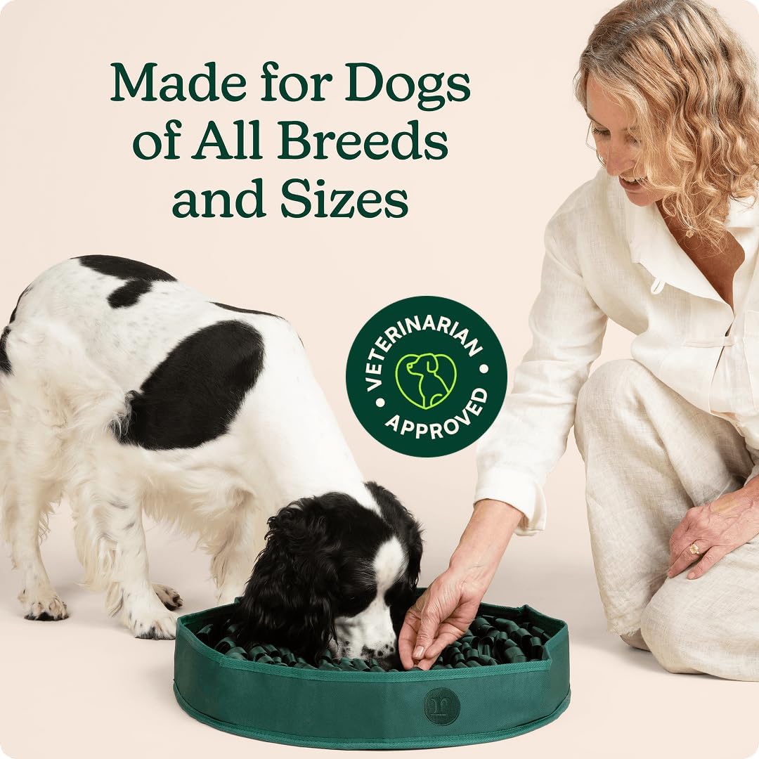 Reggie Snuffle Mat for Dogs, for Calming Support, Reducing Speed Eating, and Mental Stimulation, Durable & Easy to Clean