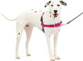 PetSafe Easy Walk Harness, No Pull Dog Harness, Raspberry, Medium/Large