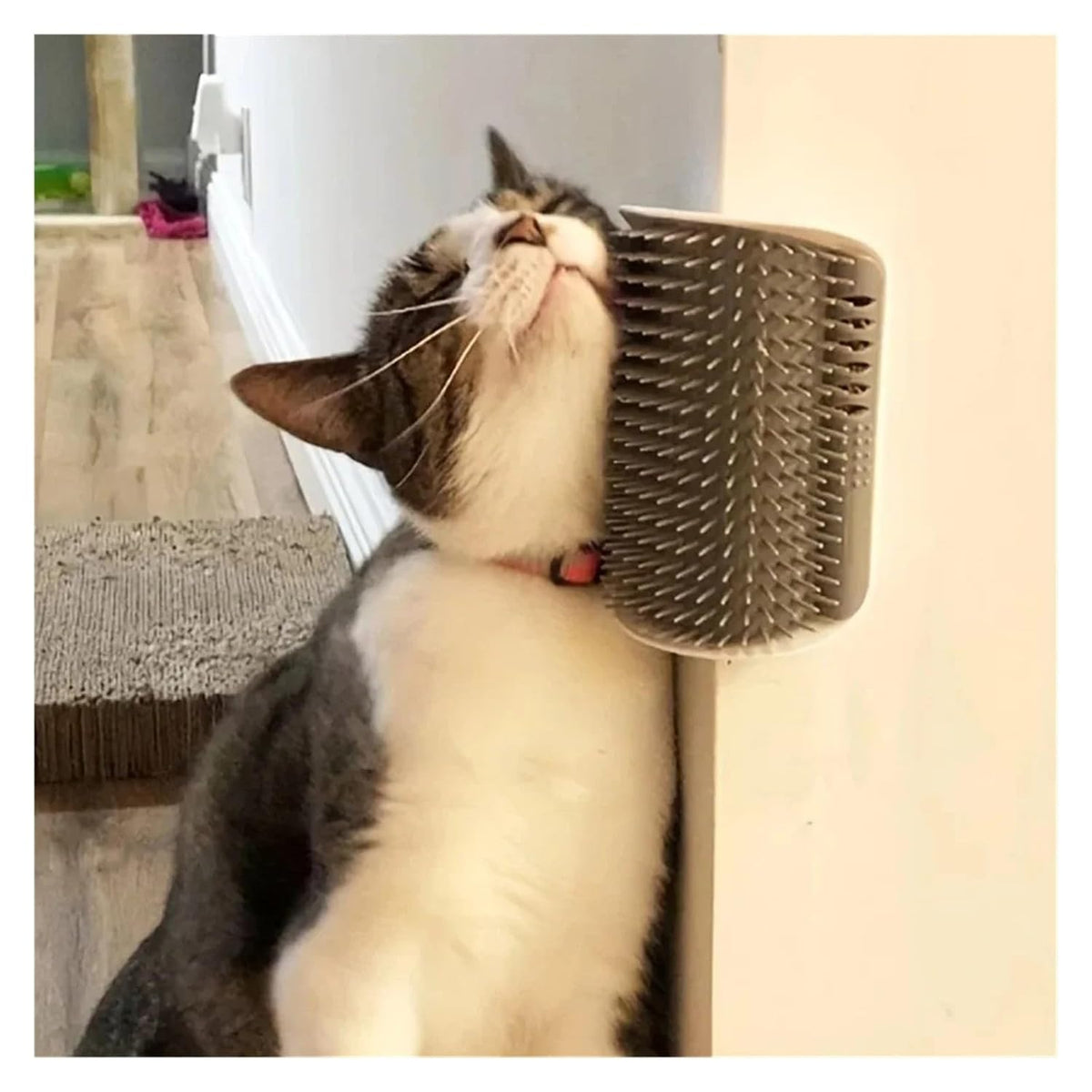 Cat Massage Tool Self-Cleaning Grooming Brush for Cats - Hair Removal(Gray,Large)