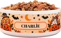 Personalized Halloween Pet Bowl, Custom Dog Cat Ceramic Feeder Dish Gift