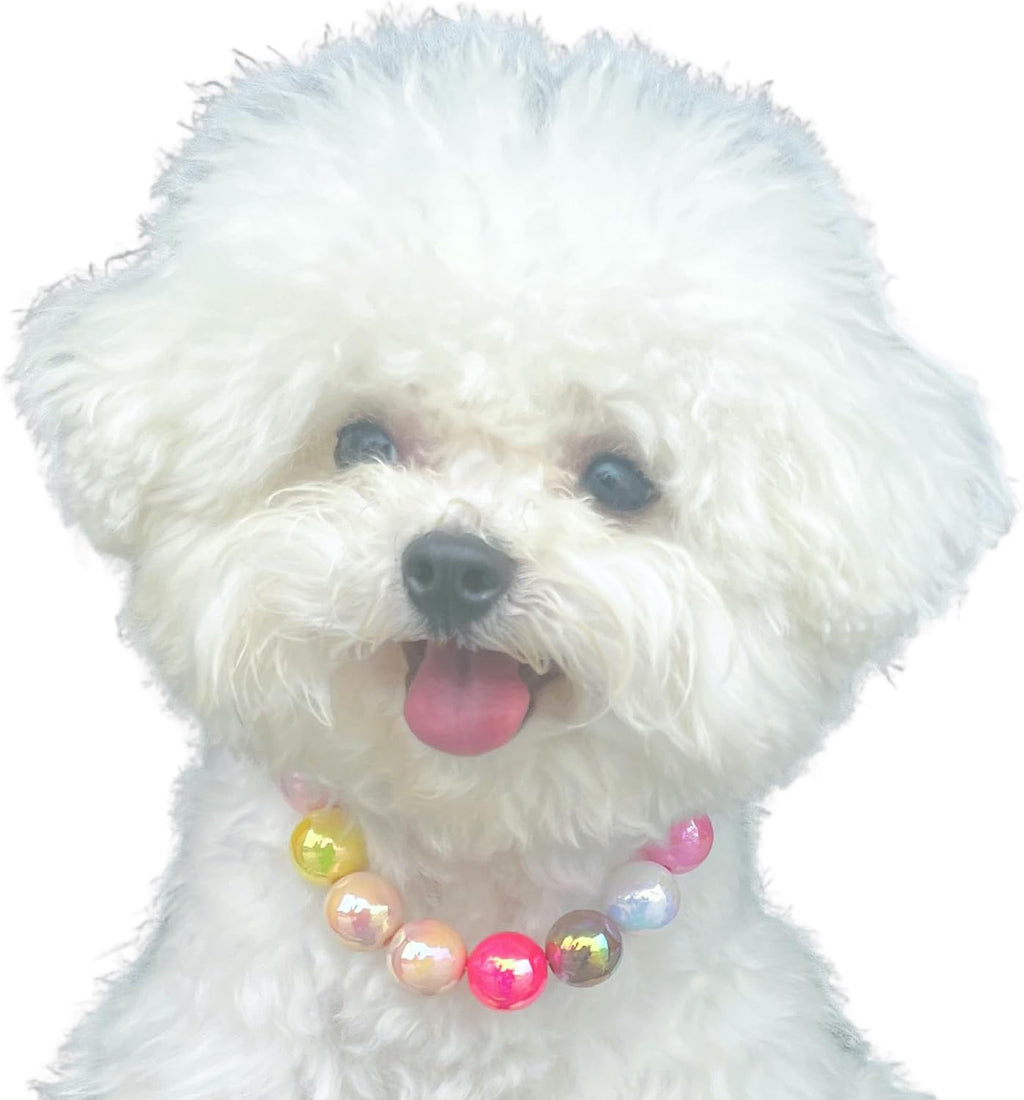 Dogs necklace,Pet Fashion Necklace,Colorful Beaded Necklace,