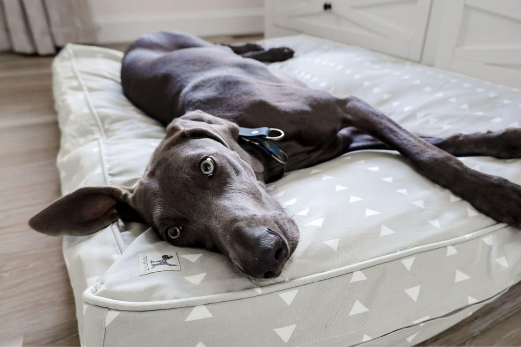 Molly Mutt Light Gray Dog Bed Cover, Non-Toxic & 100% Cotton, 27"x36"x5"