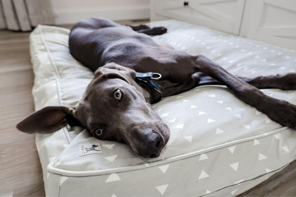 Molly Mutt Light Gray Dog Bed Cover, Non-Toxic & 100% Cotton, 27"x36"x5"