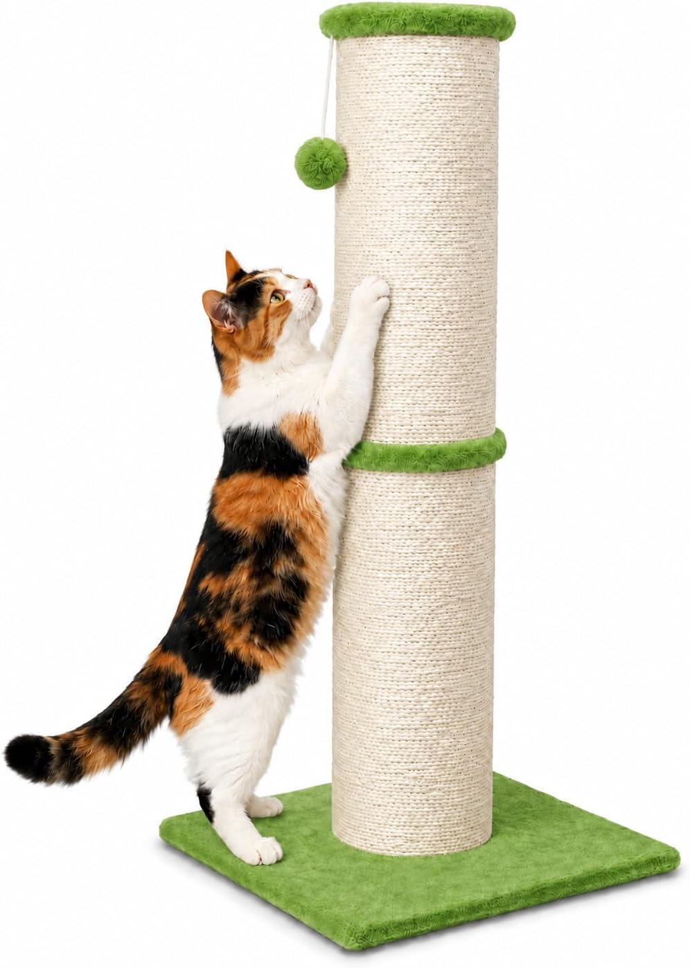 PAWSCRAT 32-Inch Tall Cat Scratching Post, 5.5-Inch Diameter, Sisal, Beige