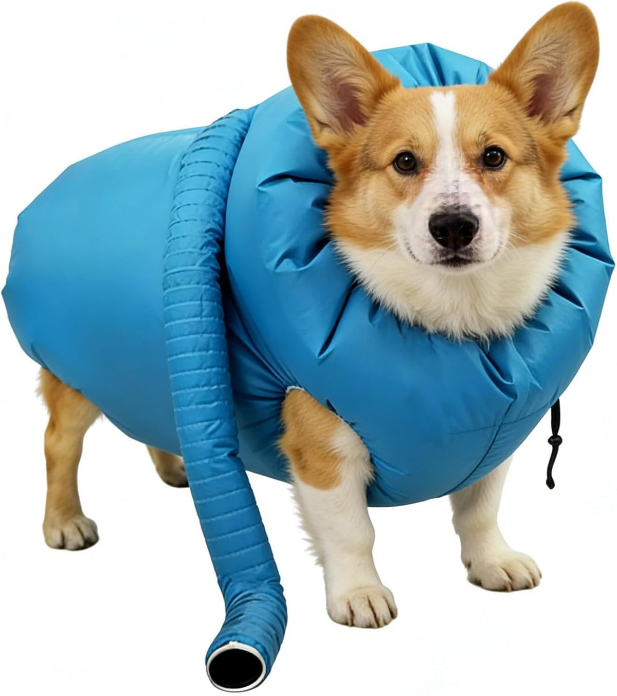 Pet Drying Bag, 360° Air Circulation Grooming Blower Sack