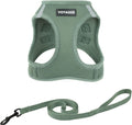 Voyager Step-in Air Cat Harness & Leash Set - Moss Green, XX-Small