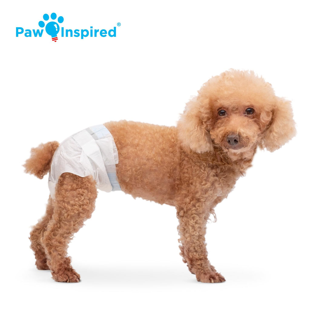 Paw Inspired 32ct Disposable Dog Diapers | Female Dog Diapers Ultra Protection | Diapers for Dogs in Heat, Excitable Urination, or Incontinence (Small)