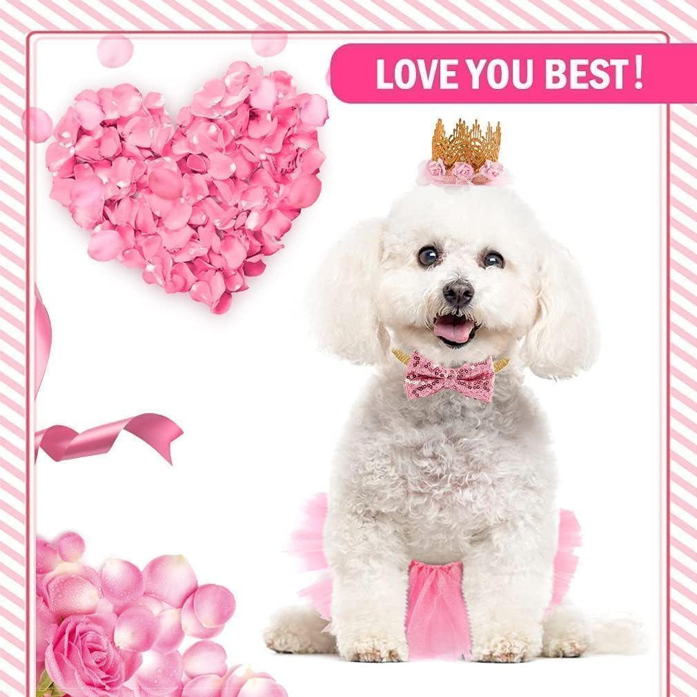 BINGPET Cat Tutu Princess Costume, Small Dog Wedding Dress, Crown Outfit