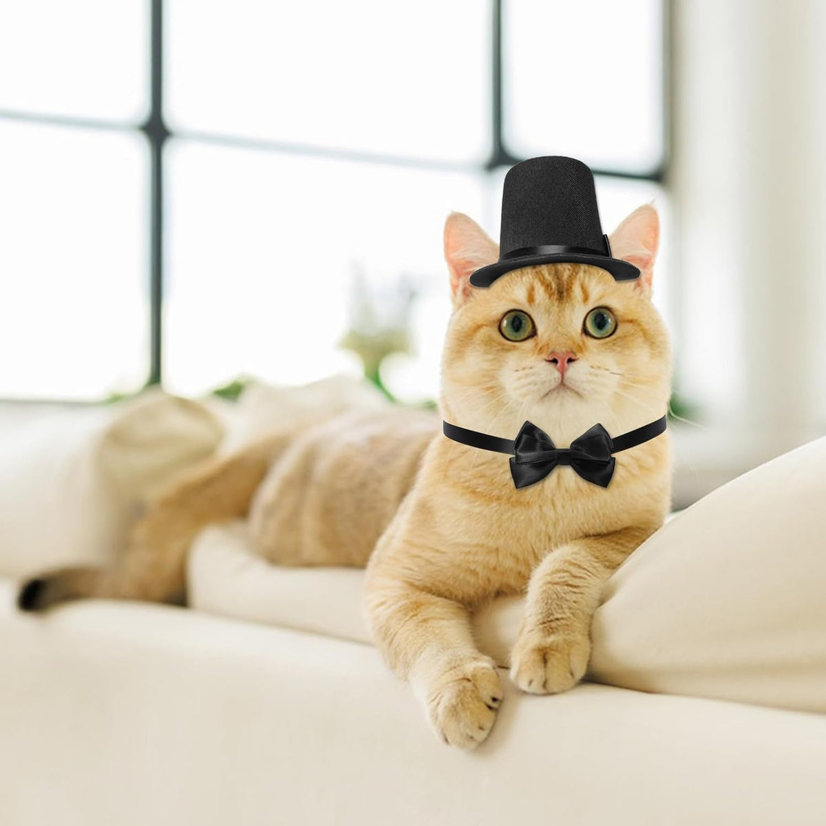 Pet Formal Accessories Set 2 Pcs Dog Costume Top Hat with Formal Pet Tuxedo Bowtie/Necktie Birthday Party Halloween Grad