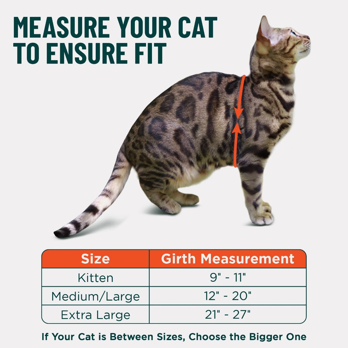 OutdoorBengal Houdini™ Escape Proof Cat Harness and Leash (Black, M/L)